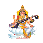 VIJAY COLLEGE OF EDUCATION DAULATNAGAR GHAZIPUR,   (U.P.), , India